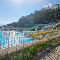 фото из отзыва ID 2233525