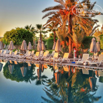 фото из отзыва ID 2233526