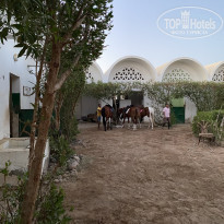 фото из отзыва ID 2233421