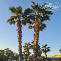 фото из отзыва ID 2233818