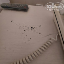 фото из отзыва ID 2233878