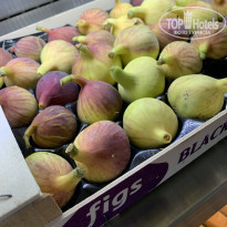 фото из отзыва ID 2233711