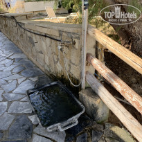 фото из отзыва ID 2233711