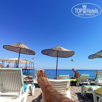 фото из отзыва ID 2234066