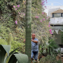 фото из отзыва ID 2234266