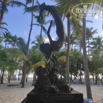 фото из отзыва ID 2230274