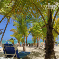 фото из отзыва ID 2230274