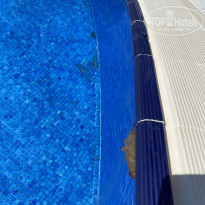 фото из отзыва ID 2234344