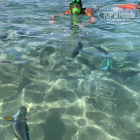 фото из отзыва ID 2234360