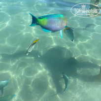 фото из отзыва ID 2234360