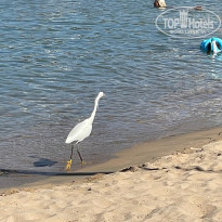 фото из отзыва ID 2234360