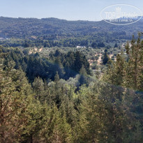 фото из отзыва ID 2231215