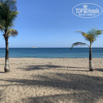 фото из отзыва ID 2234409