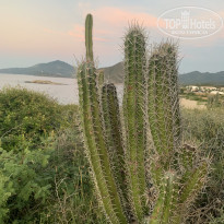 фото из отзыва ID 2234409