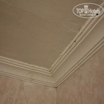 фото из отзыва ID 2234538