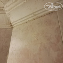 фото из отзыва ID 2234538