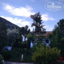 фото из отзыва ID 2234713