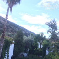 фото из отзыва ID 2234713