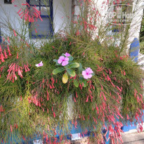 фото из отзыва ID 2234713