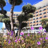 фото из отзыва ID 2234759