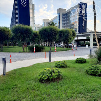 фото из отзыва ID 2234686