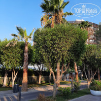 фото из отзыва ID 2234686