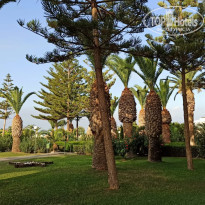 фото из отзыва ID 2234868