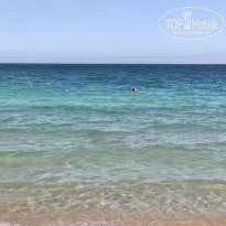 фото из отзыва ID 2234999