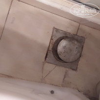 фото из отзыва ID 2235069