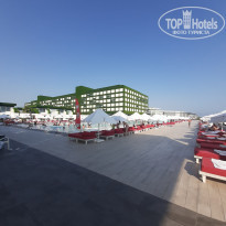 фото из отзыва ID 2235251