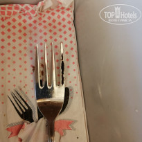 фото из отзыва ID 2235262