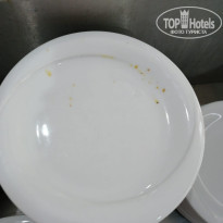 фото из отзыва ID 2235262