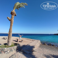 фото из отзыва ID 2235366