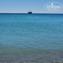 фото из отзыва ID 2235445