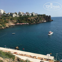 фото из отзыва ID 2235556