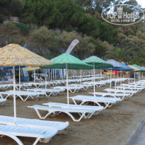 фото из отзыва ID 2235953