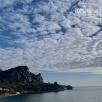 фото из отзыва ID 2235993