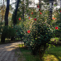 фото из отзыва ID 2236022