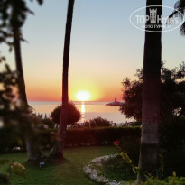 фото из отзыва ID 2236026