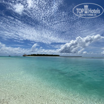 фото из отзыва ID 2236059