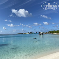 фото из отзыва ID 2236059