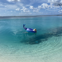 фото из отзыва ID 2236059