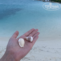 фото из отзыва ID 2236059