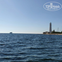 фото из отзыва ID 2236114