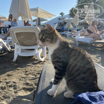 фото из отзыва ID 2236136