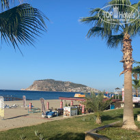 фото из отзыва ID 2236181