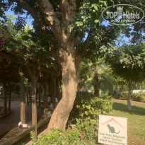 фото из отзыва ID 2236246