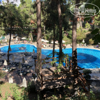 фото из отзыва ID 2236255