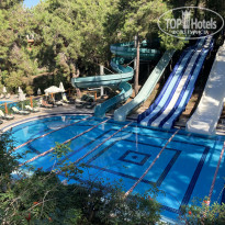 фото из отзыва ID 2236255