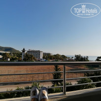 фото из отзыва ID 2236402